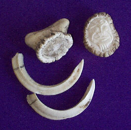 Pig tusks and deer horn buttons